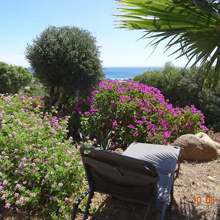 Semesterbostad Independante 2/5 Personnes - Palombaggia Vue Magnifique Vecchio *