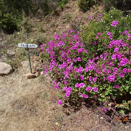 Independante 2/5 Personnes - Palombaggia Vue Magnifique Vecchio